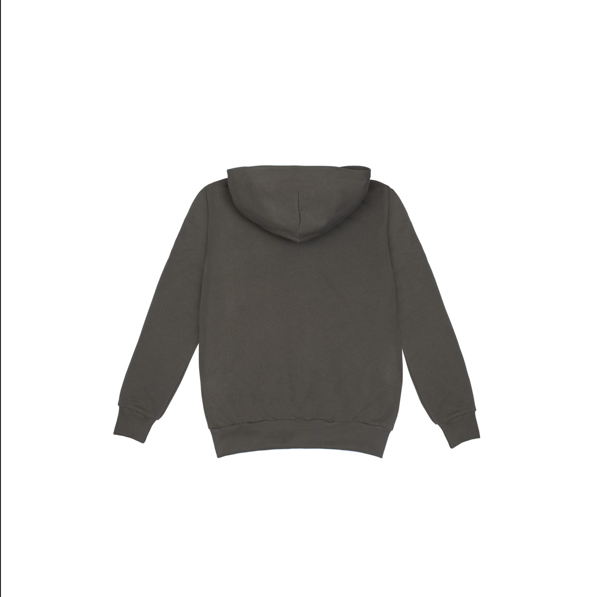 DP0209r